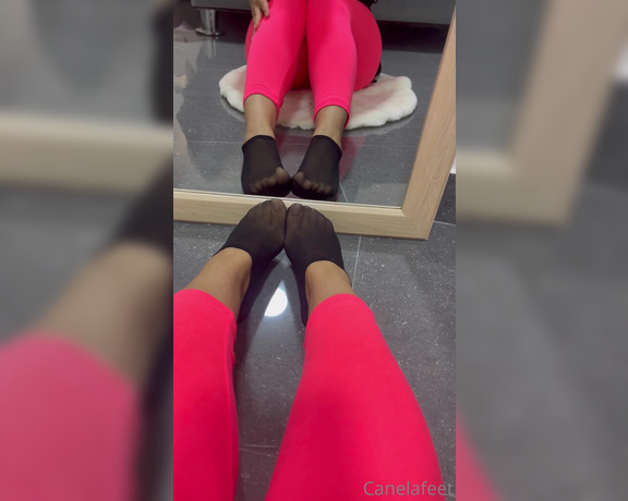 Canelafeet1 aka Canelafeet1 OnlyFans - Do you like it with nylons