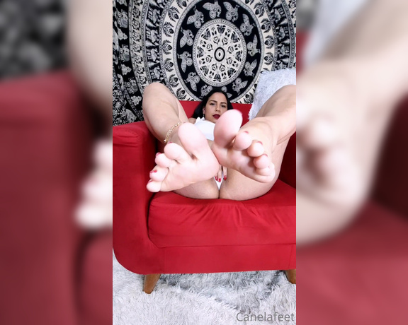 Canelafeet1 aka Canelafeet1 OnlyFans - Come and play with my feet I want to feel your mouth sucking on my toes