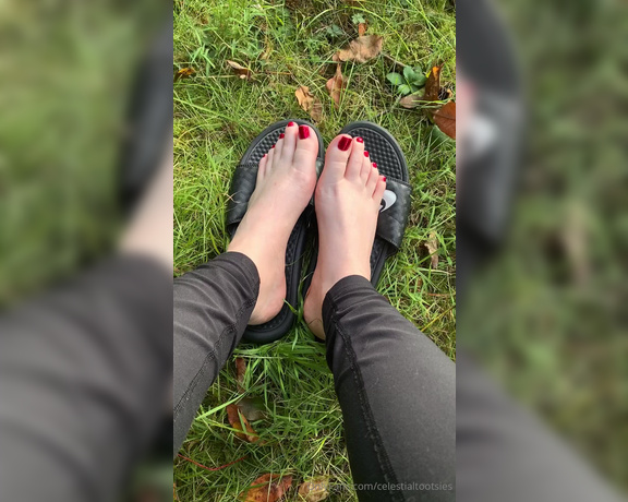 Celestial Tootsies aka Celestialtootsies OnlyFans Video 592