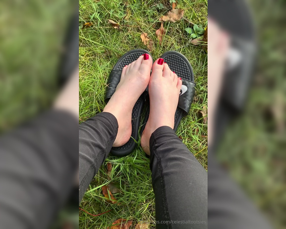 Celestial Tootsies aka Celestialtootsies OnlyFans Video 592