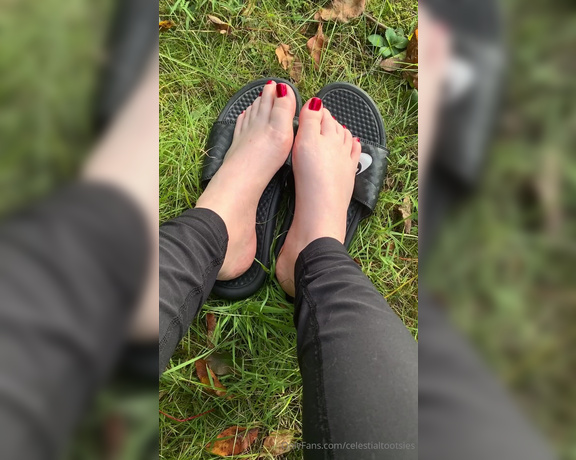 Celestial Tootsies aka Celestialtootsies OnlyFans Video 592