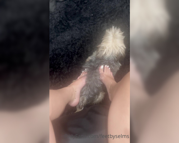 Feetbyselms aka Feetbyselms OnlyFans - Zoe loves my feet too