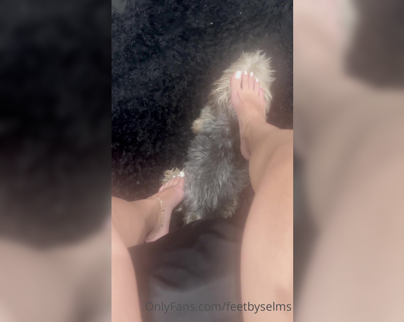 Feetbyselms aka Feetbyselms OnlyFans - Zoe loves my feet too