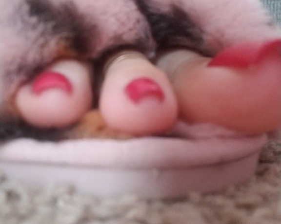 Loveher_toes aka Loveher_toes OnlyFans Video 720