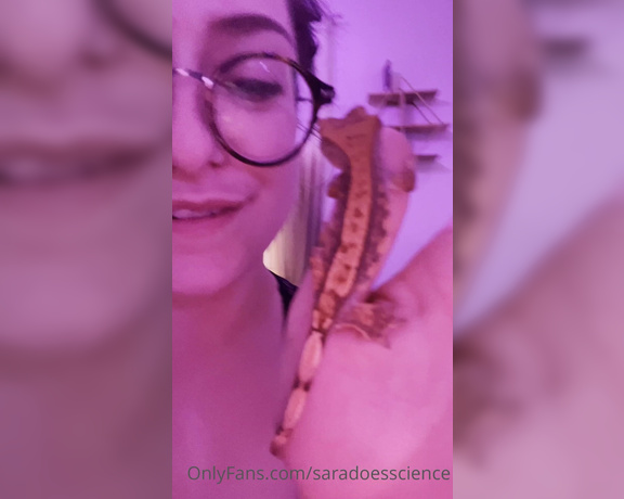 Goddess Sara aka Saradoesscience OnlyFans - Because I know you were curious about this scaley boy