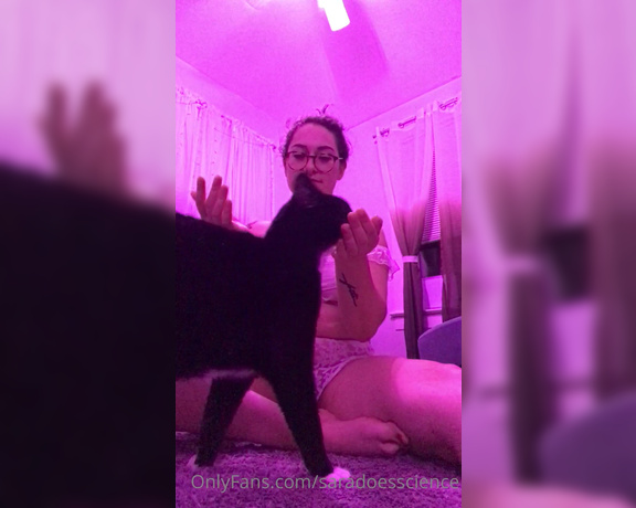 Goddess Sara aka Saradoesscience OnlyFans - This is just a few minutes of me chillin with my kitty