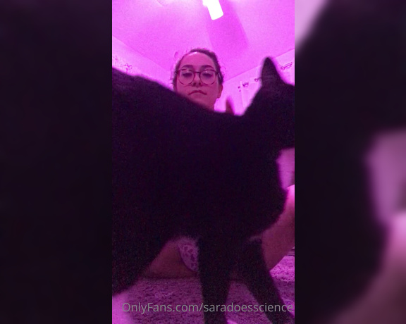 Goddess Sara aka Saradoesscience OnlyFans - This is just a few minutes of me chillin with my kitty