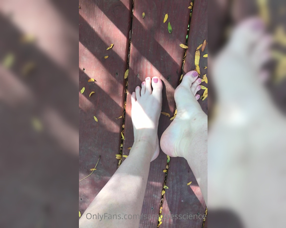 Goddess Sara aka Saradoesscience OnlyFans - Beg if you want my feet to make you cum