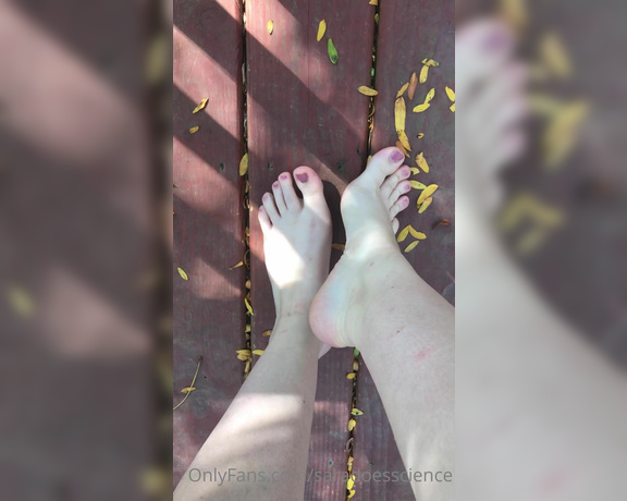 Goddess Sara aka Saradoesscience OnlyFans - Beg if you want my feet to make you cum