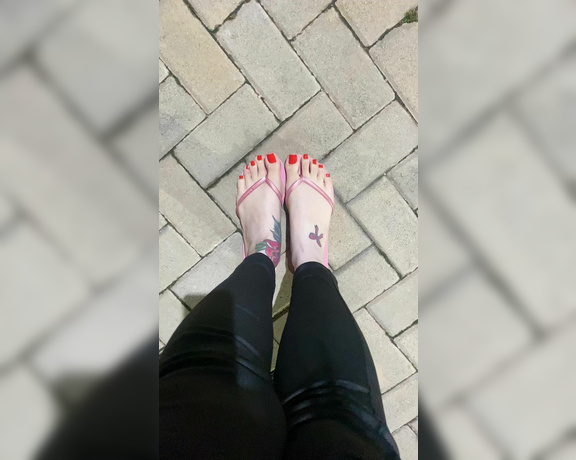 Queen Rainha aka Queen_rainha_ OnlyFans - New color and long toes Cor nova e dedos longos