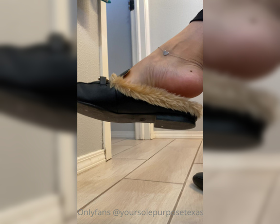 Sole Purpose Texas Feet aka Solepurposetexasofficial Onlyfans - These fuzzy mules are starting to smell like my feet