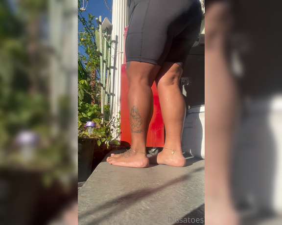 Dissa aka Dissatoes OnlyFans - I love when the sun hits my legs  They look golden