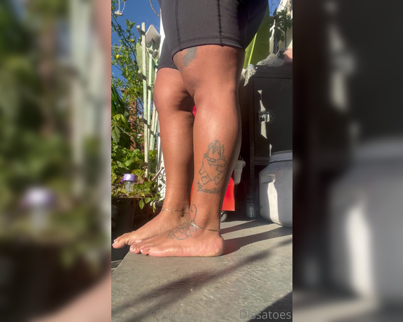 Dissa aka Dissatoes OnlyFans - I love when the sun hits my legs  They look golden