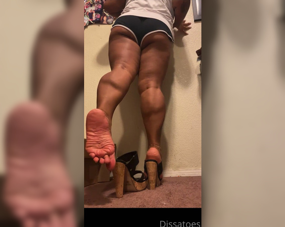 Dissa aka Dissatoes OnlyFans - Would You like to see more of my calves and legs and soles