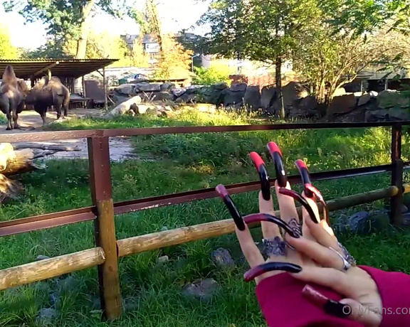 Lora Long Nails aka Loralongnails OnlyFans - LONG NAILS Warm autumn Kyiv ZOO Warm weather and beautiful nature at the zoo Kiev Zoo is a