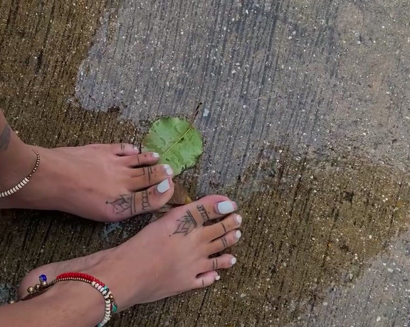 Zafeet aka Zafeetllc OnlyFans Video 801