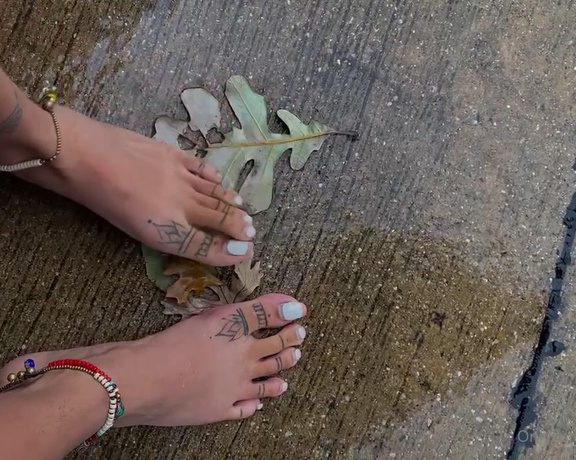 Zafeet aka Zafeetllc OnlyFans Video 801