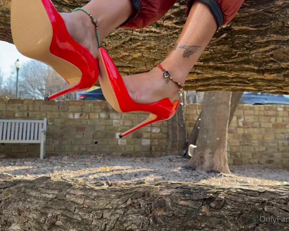 Zafeet aka Zafeetllc OnlyFans - A Christmas Red pump and toes dump 1