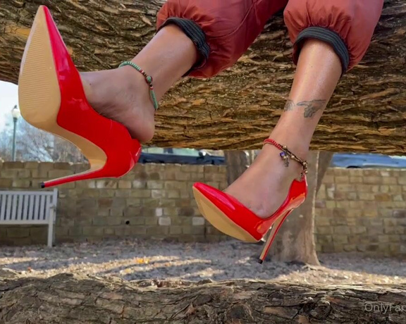 Zafeet aka Zafeetllc OnlyFans - A Christmas Red pump and toes dump 1