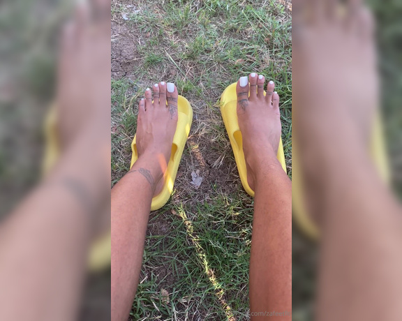 Zafeet aka Zafeetllc OnlyFans - Wiggling In the sun