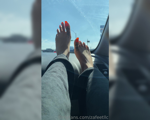 Zafeet aka Zafeetllc OnlyFans - Todays a nice day to let my pretty gals breathe