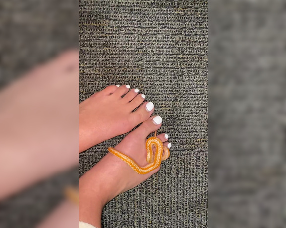 Mary Grace aka Goddessmarygrace OnlyFans - Snake play