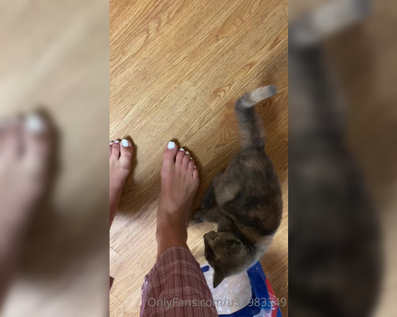 Mary Grace aka Goddessmarygrace OnlyFans - Sweet kitty plays w toes