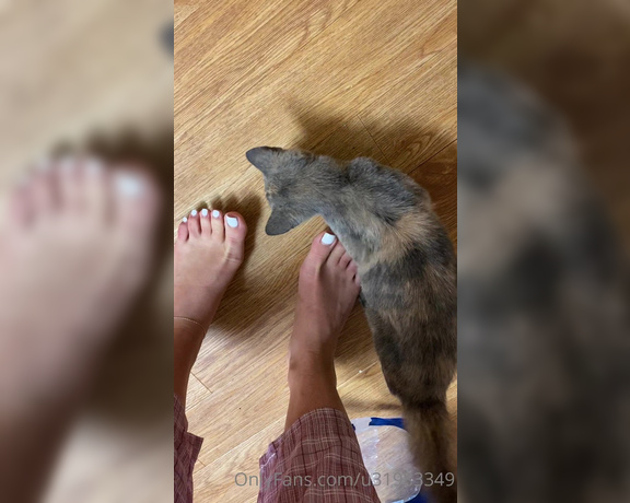 Mary Grace aka Goddessmarygrace OnlyFans - Sweet kitty plays w toes