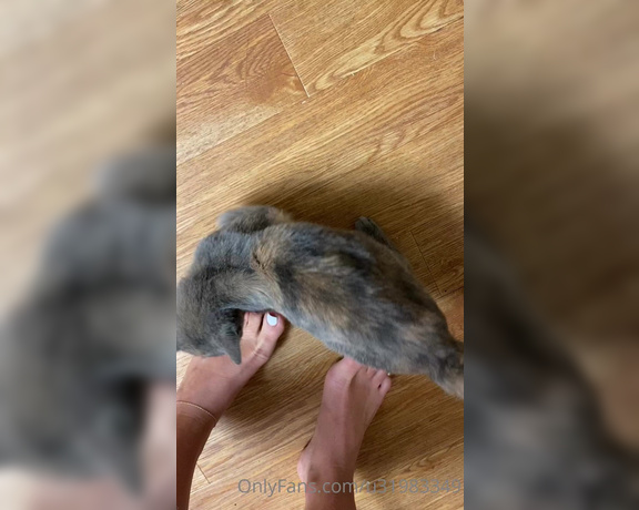 Mary Grace aka Goddessmarygrace OnlyFans - Sweet kitty plays w toes