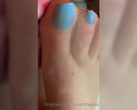 Toestandardsthegoat aka Tanyaisthegoat OnlyFans - Pantyhose