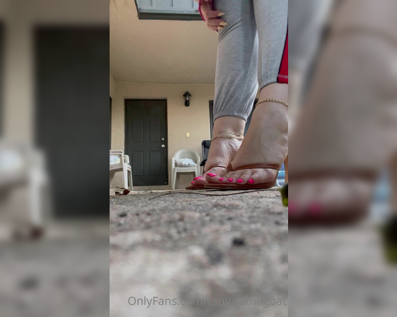 Toestandardsthegoat aka Tanyaisthegoat OnlyFans Video 183