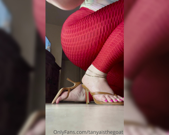 Toestandardsthegoat aka Tanyaisthegoat OnlyFans Video 240