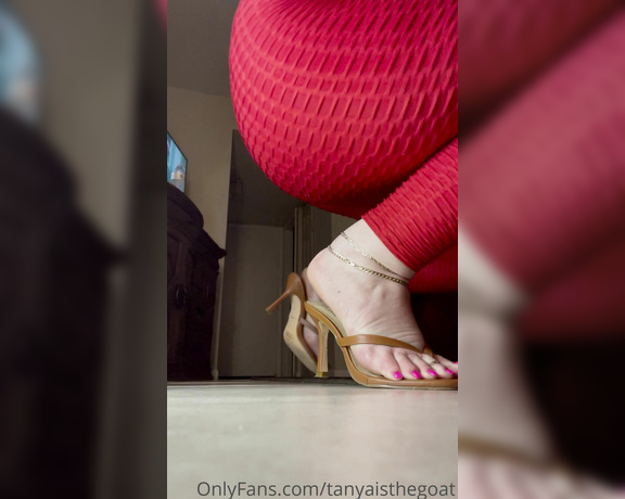 Toestandardsthegoat aka Tanyaisthegoat OnlyFans Video 240