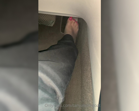 Toestandardsthegoat aka Tanyaisthegoat OnlyFans Video 290