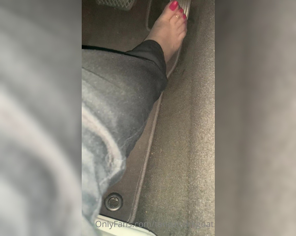 Toestandardsthegoat aka Tanyaisthegoat OnlyFans Video 290