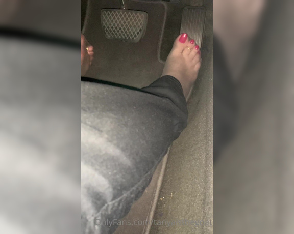 Toestandardsthegoat aka Tanyaisthegoat OnlyFans Video 290