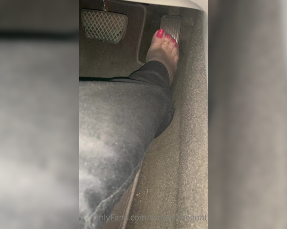 Toestandardsthegoat aka Tanyaisthegoat OnlyFans Video 290