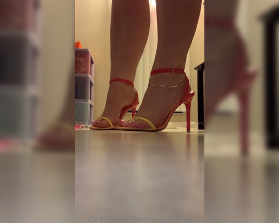 Toestandardsthegoat aka Tanyaisthegoat OnlyFans Video 805