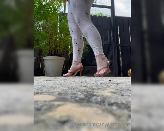 Toestandardsthegoat aka Tanyaisthegoat OnlyFans Video 159