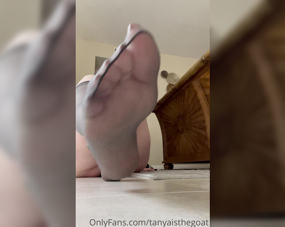 Toestandardsthegoat aka Tanyaisthegoat OnlyFans Video 858