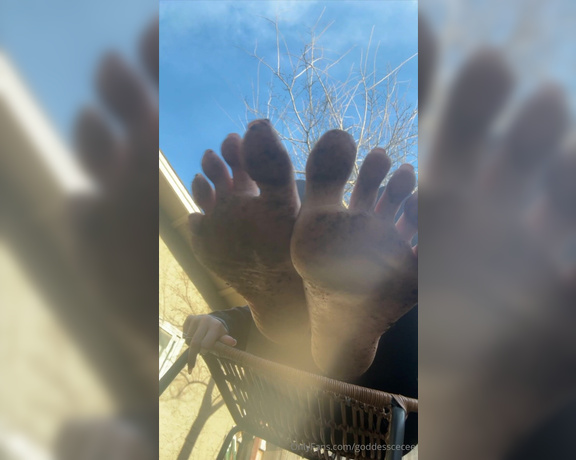 Cecily aka Goddesscecee OnlyFans - Dirty feet to clean for a dirty foot obsessed freak
