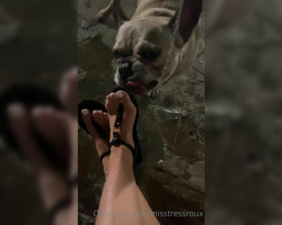 GingerAlesFeet aka Misstressroux OnlyFans - You wish you were this dog drinking water off my feet