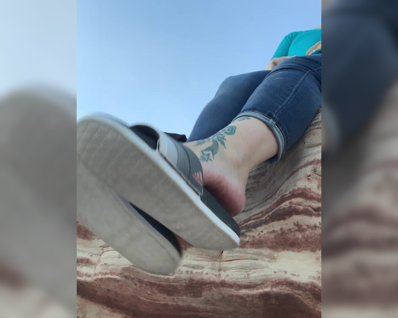 Lexi - Toe Rings and Tattoos aka Toeringsandtats OnlyFans - (13866459) Happy Wednesday honey pies Chillin up here while you watch me dangle my slides from down there