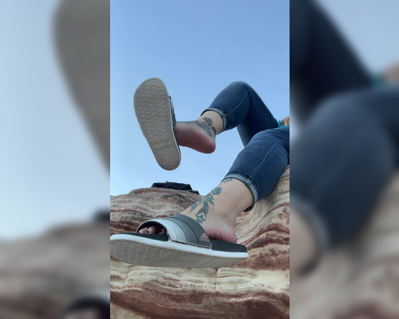 Lexi - Toe Rings and Tattoos aka Toeringsandtats OnlyFans - (13866459) Happy Wednesday honey pies Chillin up here while you watch me dangle my slides from down there