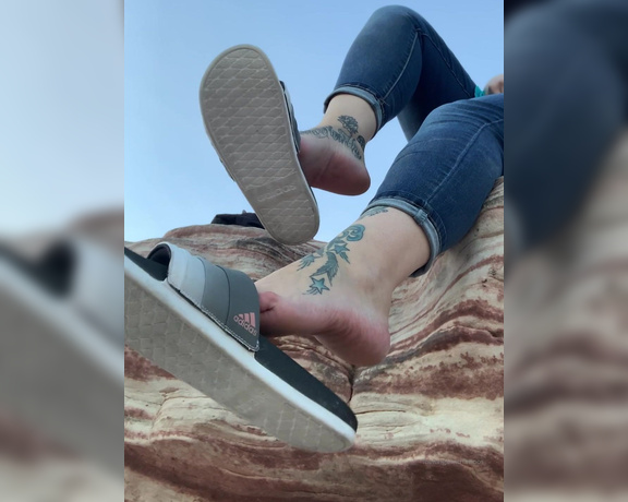 Lexi - Toe Rings and Tattoos aka Toeringsandtats OnlyFans - (13866459) Happy Wednesday honey pies Chillin up here while you watch me dangle my slides from down there