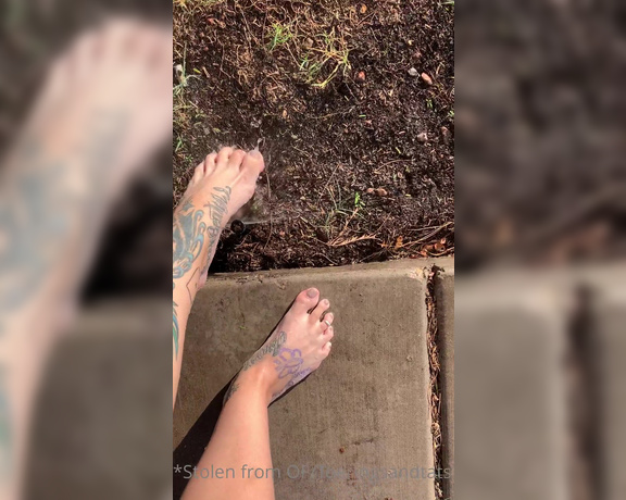 Lexi - Toe Rings and Tattoos aka Toeringsandtats OnlyFans - (63884811) Oh my goodness I completely forgot I recorded this video for y’all hot summer day took adva