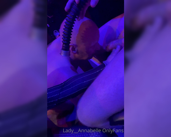 Lady Annabelle aka Lady__annabelle OnlyFans - Oh I nearly forgot to share with you all, how good @sub0 regulus is at sucking real cock @slavedonke