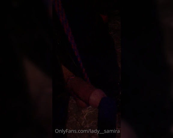 Lady Samira aka Lady__samira OnlyFans - Little CBT hahaha so cute