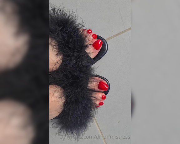 Dominatrix Dinah aka Dinahmistress OnlyFans - Good morning, this post is for My foot sluts!