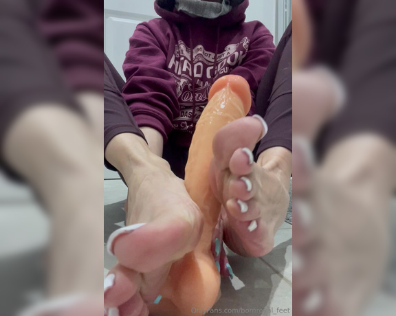 Bornroyal_feet aka Bornroyal_feet OnlyFans - Get ready for a quick foot job before your wife comes!